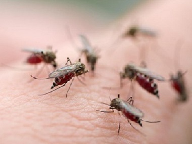 小区蚊子防治及灭杀